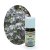 Huile essentielle Eucalyptus globuleux BIO