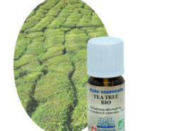 tea tree bio huiles essentielles byotop