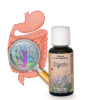digesto melange huiles essentielles systeme digestif byotop