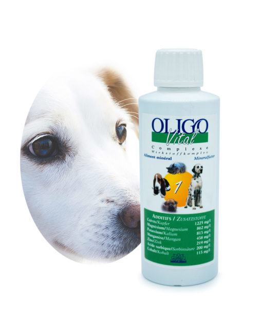 Préparation oligoéléments vétérinaires Oligovital1