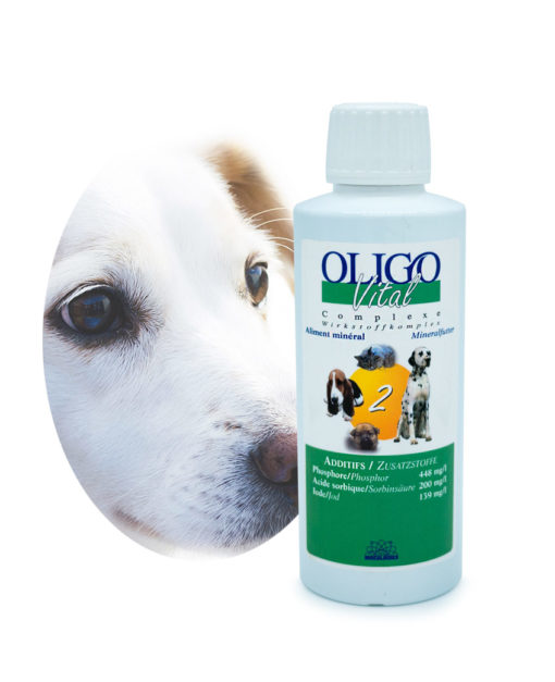 Préparation oligoéléments vétérinaires Oligovital2
