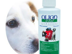 Préparation oligoéléments vétérinaires Oligovital3