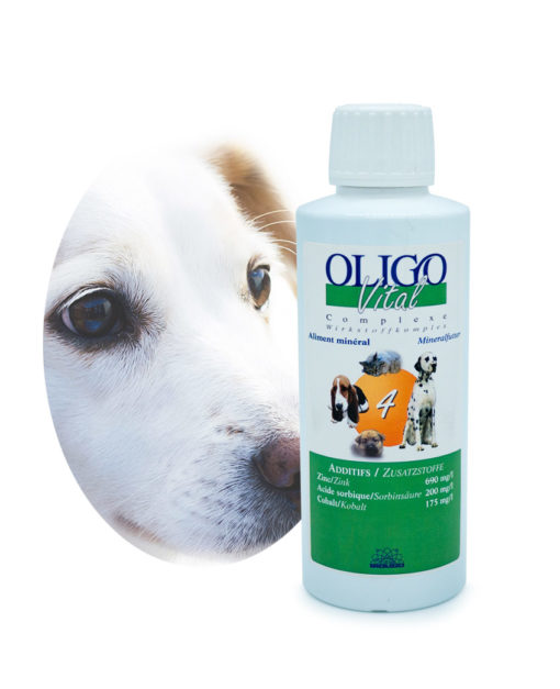 Préparation oligoéléments vétérinaires Oligovital4
