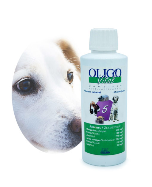 Préparation oligoéléments vétérinaires Oligovital5