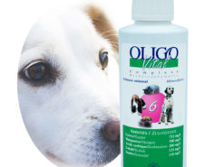 Préparation oligoéléments vétérinaires Oligovital6