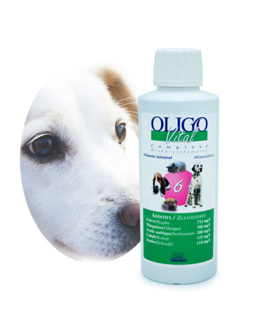 Préparation oligoéléments vétérinaires Oligovital6