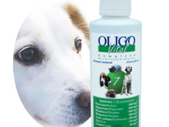 Préparation oligoéléments vétérinaires Oligovital7